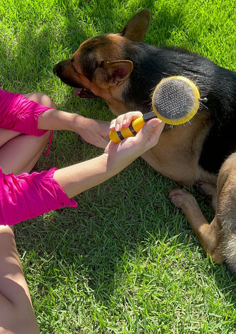 Cepillo Para Mascotas